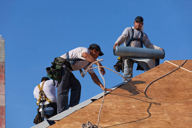 Professional Roofing Contractor in Escanaba, MI