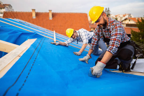 Best New Roof Installation  in Escanaba, MI