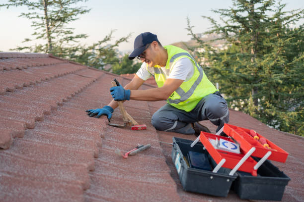 Best Emergency Roof Repair  in Escanaba, MI