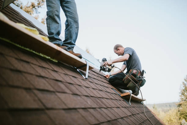 Best New Roof Installation  in Escanaba, MI